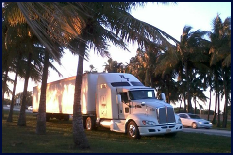 truck_palmtreebdr1